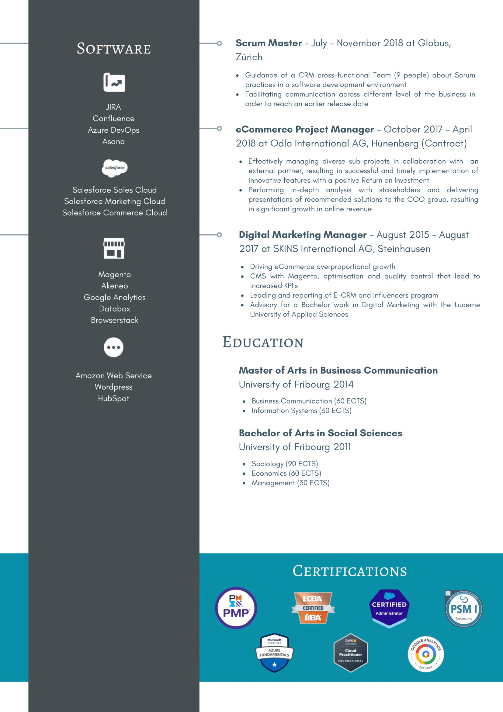 Michel Pham - CRM Consultant & Business Analyst Page 2